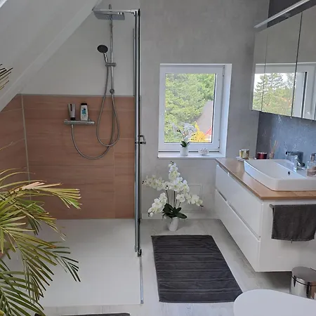 Design-loft Brockenblick -netflix-smart Tv-wlan-wallbox-kaffeevollautomat-balkon- Panoramaaussicht-getraenke-pizza-snacks Wernigerode