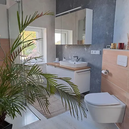 Design-loft Brockenblick -netflix-smart Tv-wlan-wallbox-kaffeevollautomat-balkon- Panoramaaussicht-getraenke-pizza-snacks Wernigerode