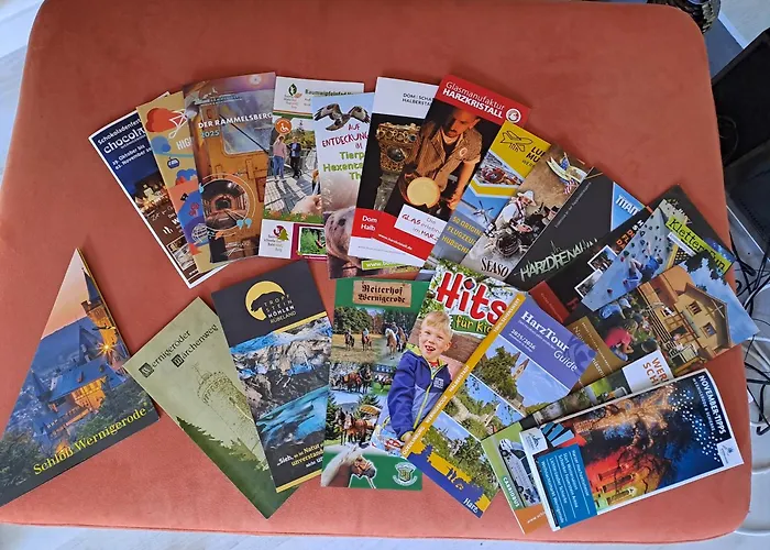 Design-loft Brockenblick -netflix-smart Tv-wlan-wallbox-kaffeevollautomat-balkon- Panoramaaussicht-getraenke-pizza-snacks * Wernigerode